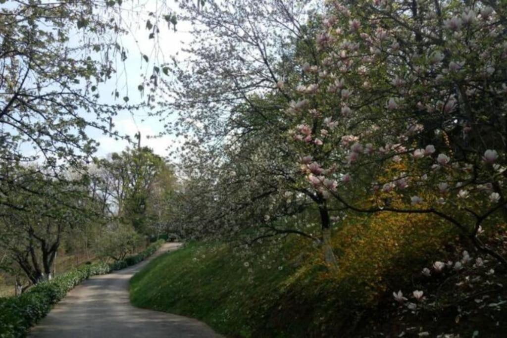 Cozzy Apartment In Nature Zagreb Bagian luar foto